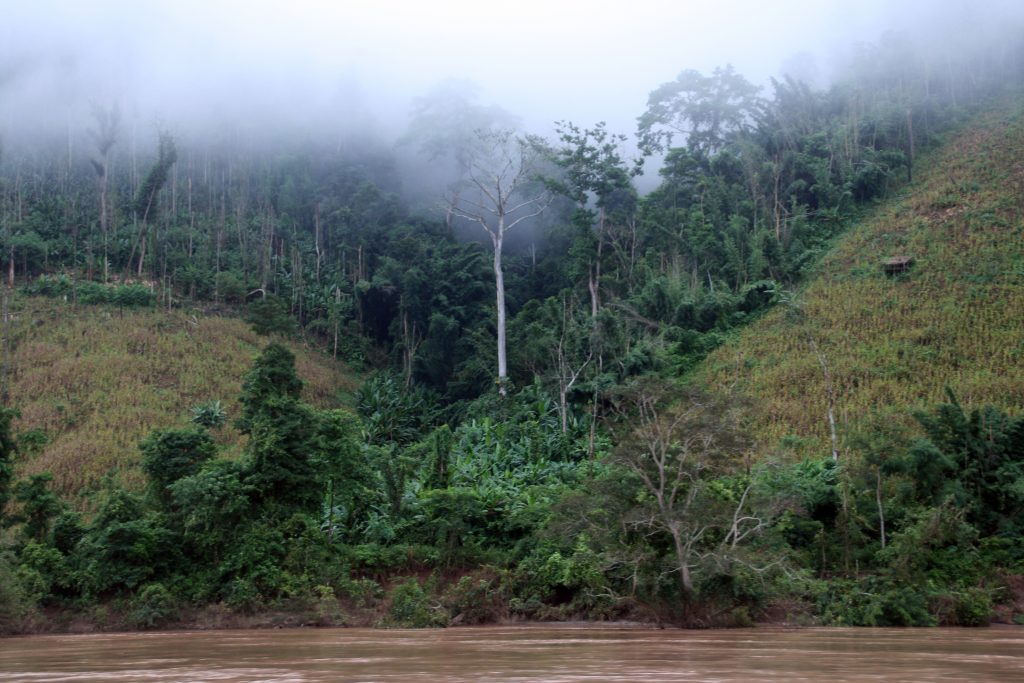 Mekong Jungle Myanmar