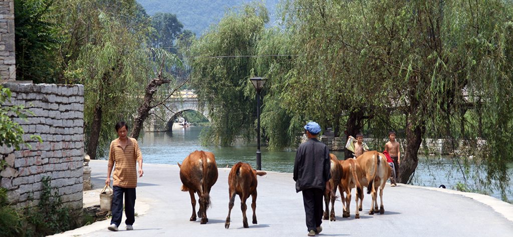 Street scene Shitou Zhai 石头寨