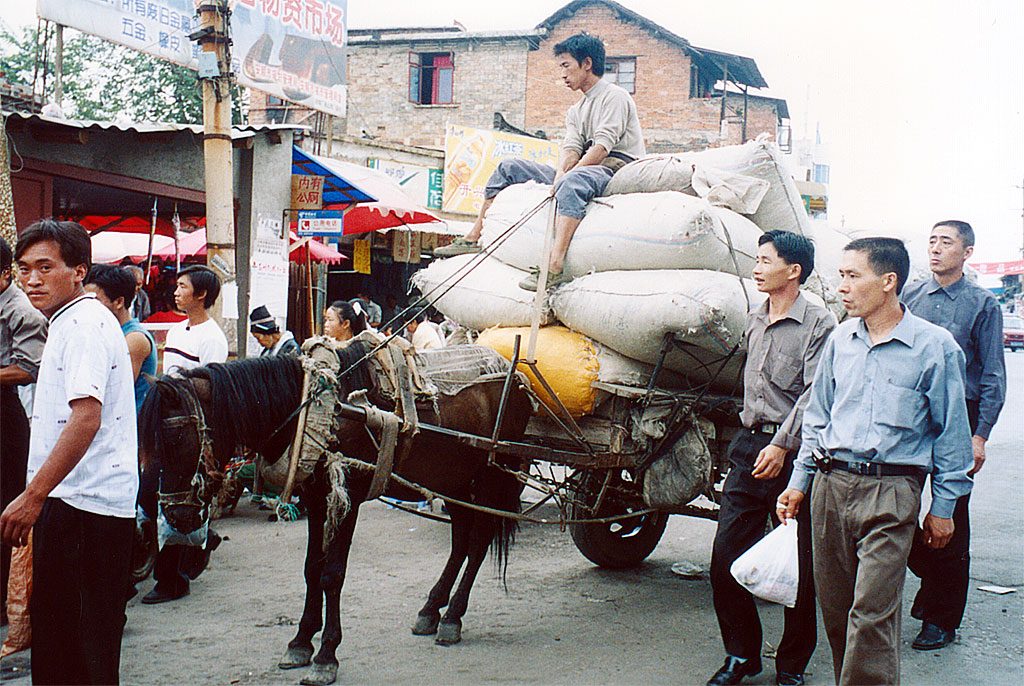 Anshun Sunday Market: 安顺星期七农民市场 overloaded horse