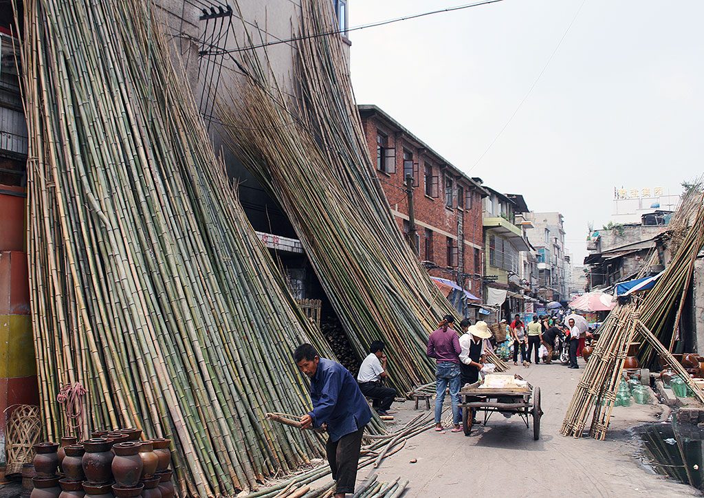 buying bamboo ples Anshun Sunday Market: 安顺星期七农民市场