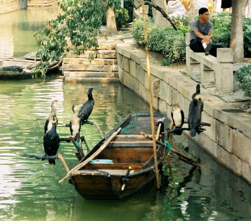 THE BEST DAY TRIP FROM SUZHOU 苏州 Luzhi 甪直 An Authentic Canal Town