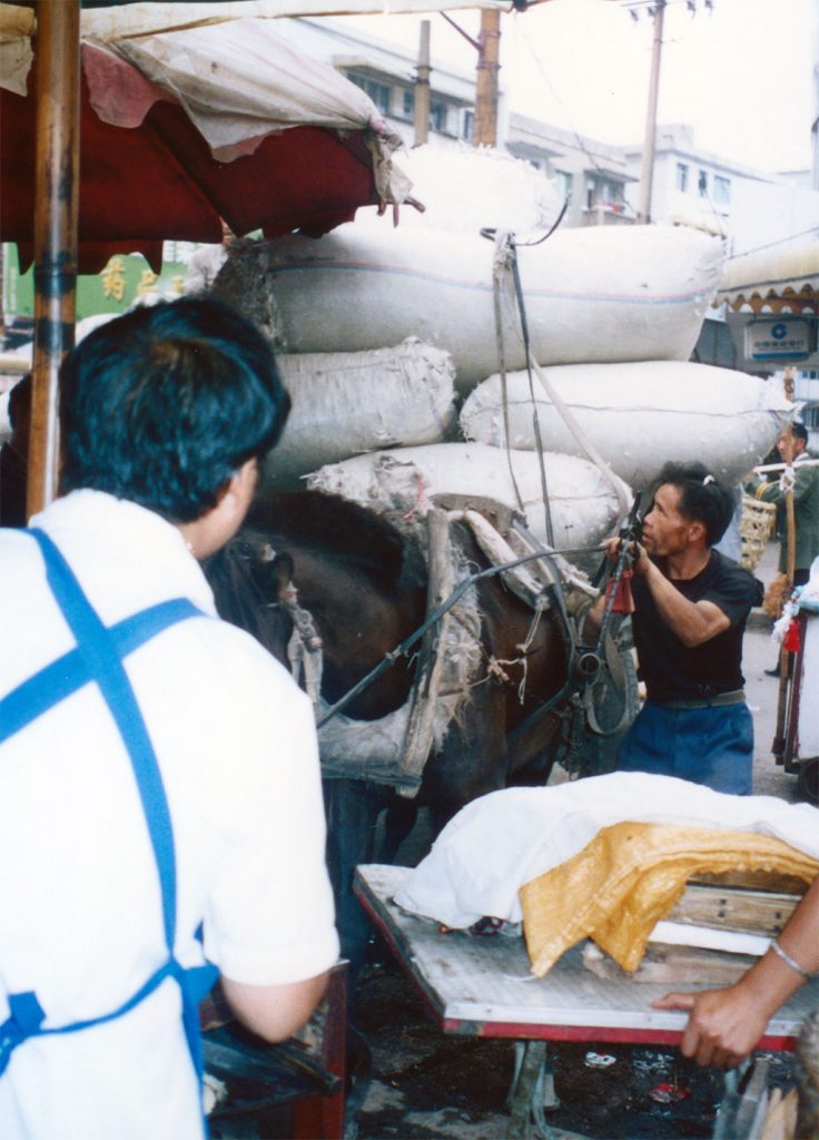 overloaded horse Anshun Sunday Market: 安顺星期七农民市场