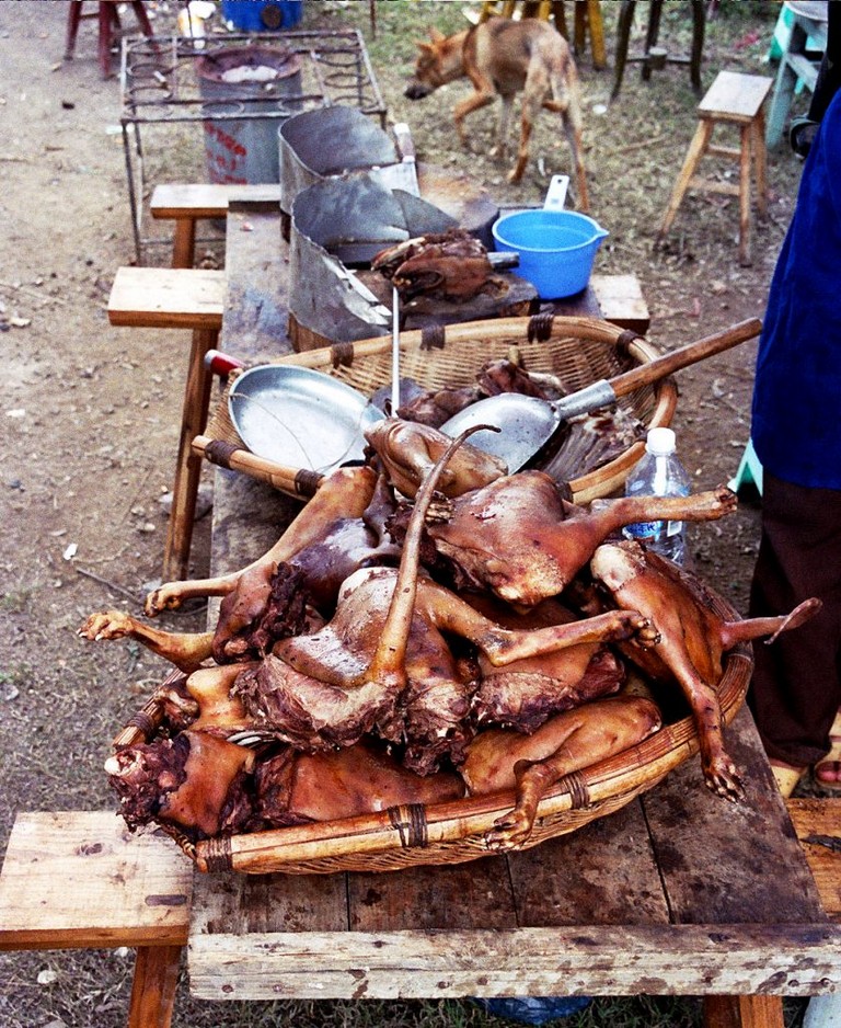 Chinese Bull Fighting in Matang 
dog meat guizhou 