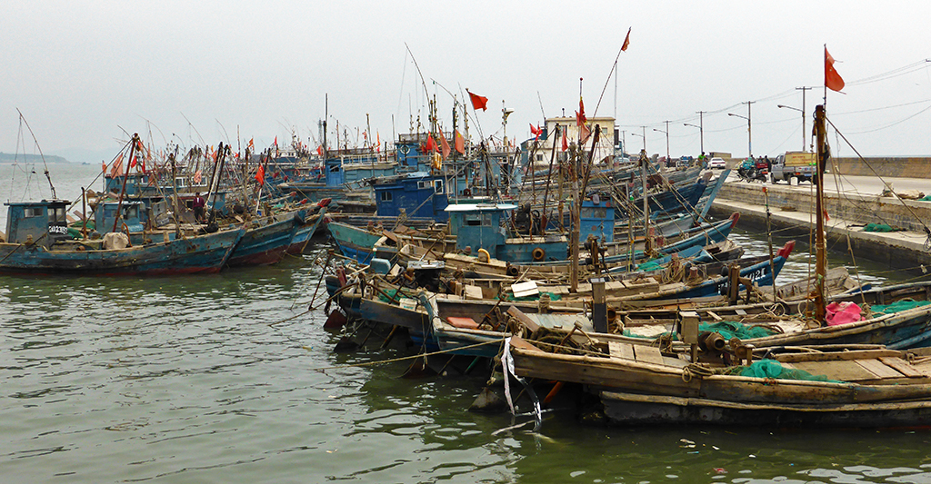 fishing boats Xincheng