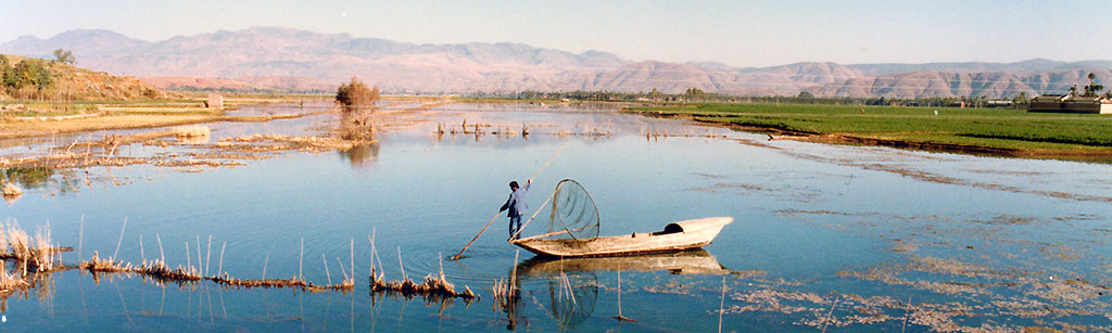 dali fishing 1990s