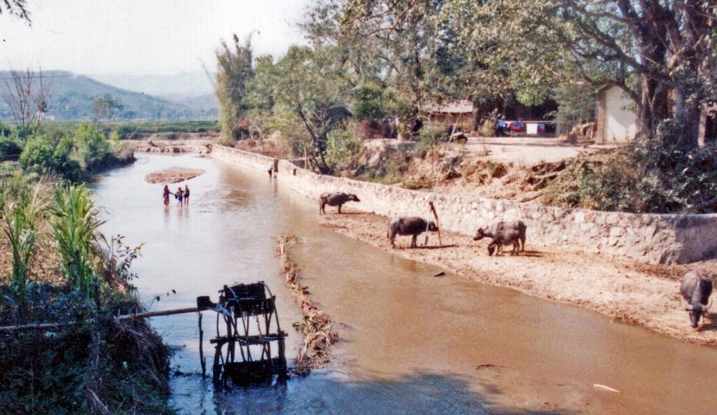 the scenery becomes South East Asian