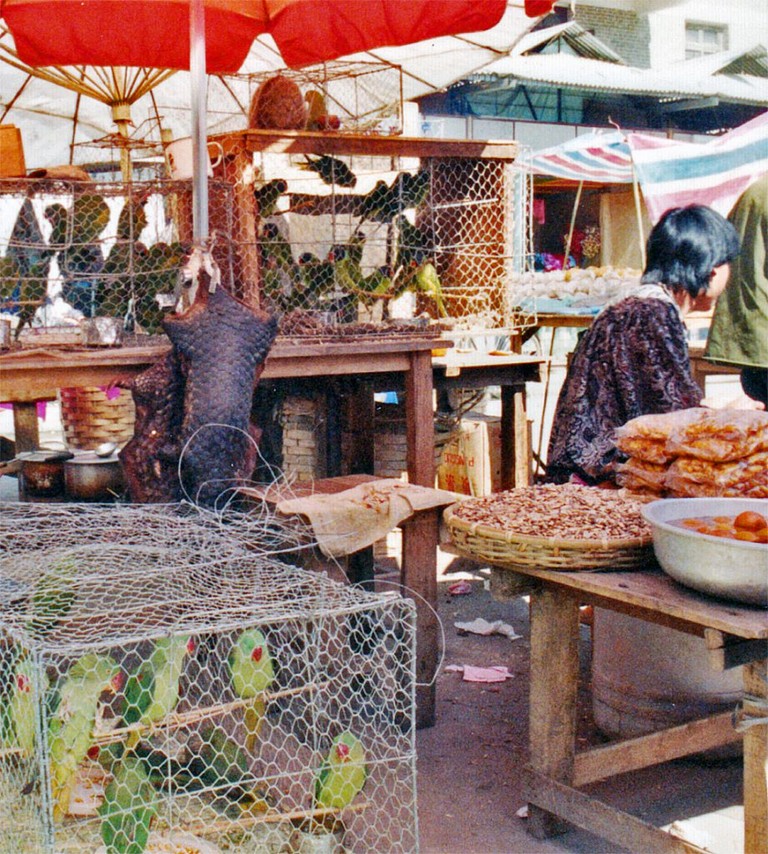 Ruili 1991 Wet Market with bats, birds,  and pangolins 