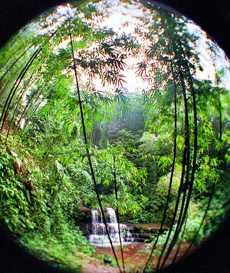 Shunan Bamboo Sea 蜀南竹海