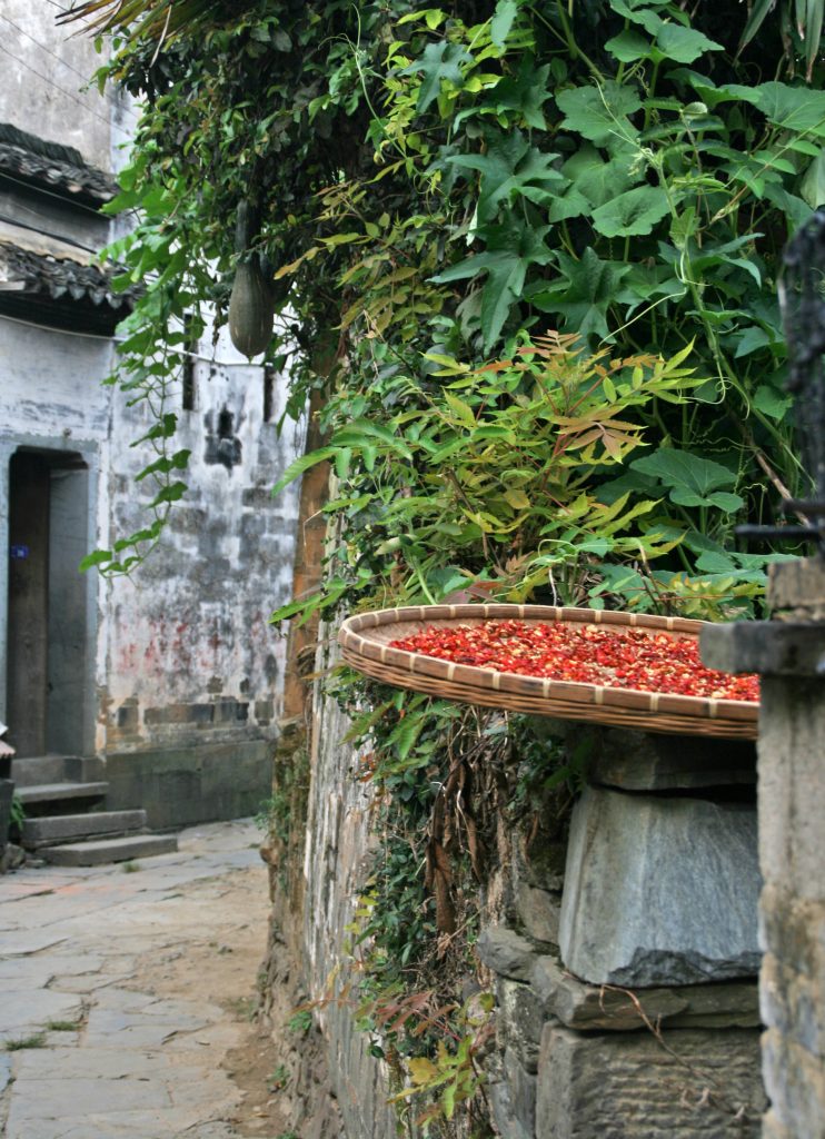 chilis and gourds  Yancun 延村