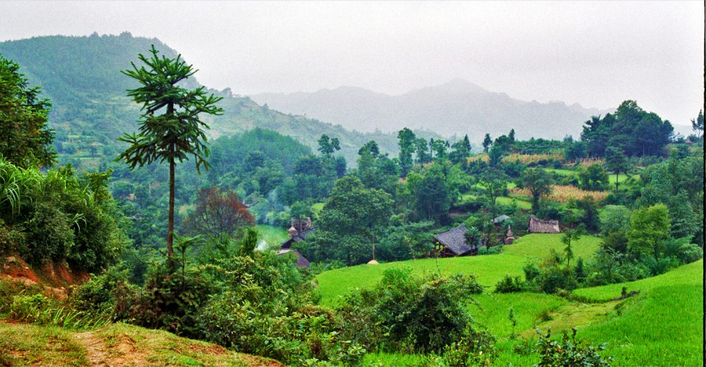 Beautiful Bucolic Landscape Matang