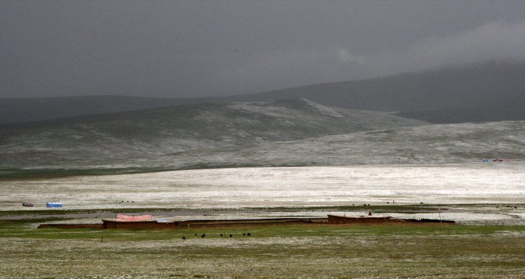 Grasslands Sichuan