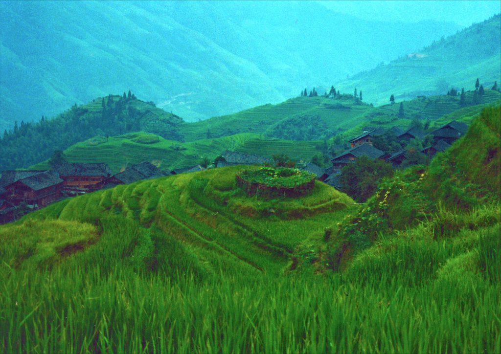 Overview of Dragon Backbone Rice terraces