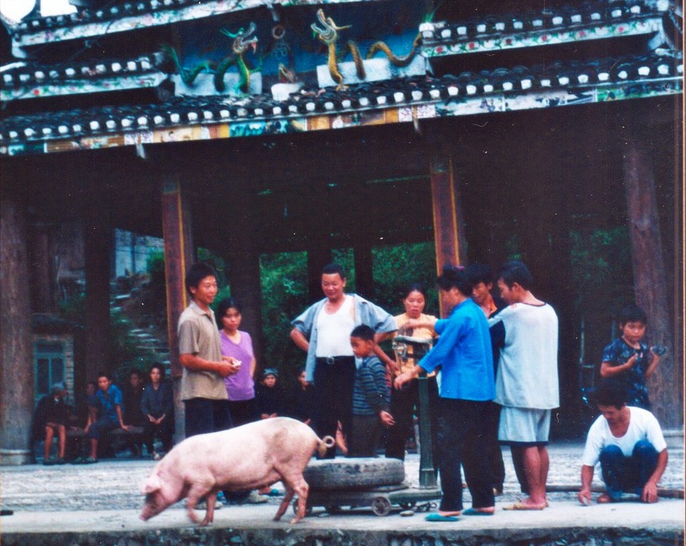 Dinner passing by in zhaoxing